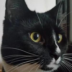 Meet your Posher, Robs